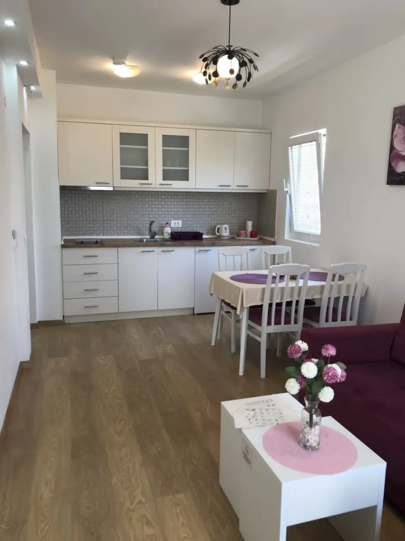 Apartmani Royal Lux, Sutomore: fotografija 3