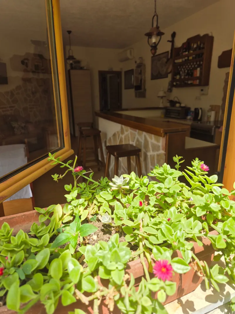 Apartmani Kristina, Studio, Sutomore
